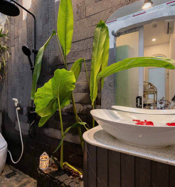 Black Castle - Villa Hồ Bơi Vũng Tàu